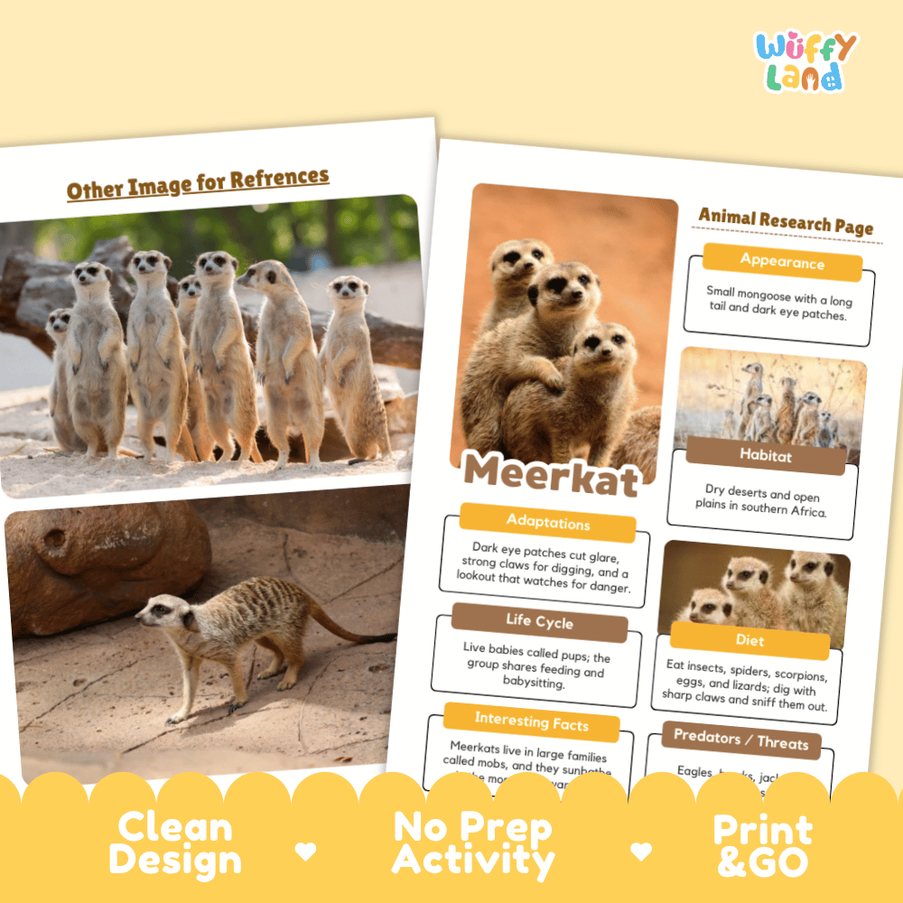 Two printed activity worksheet pages about meerkats on a pale yellow background. One page shows a group of meerkats, and the other is an animal research page with text boxes.
