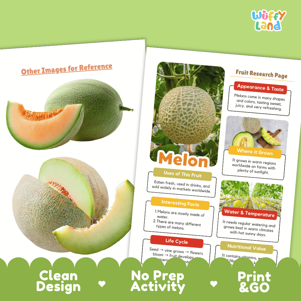 Melon Fruit Research Page Worksheets and Fact Sheet