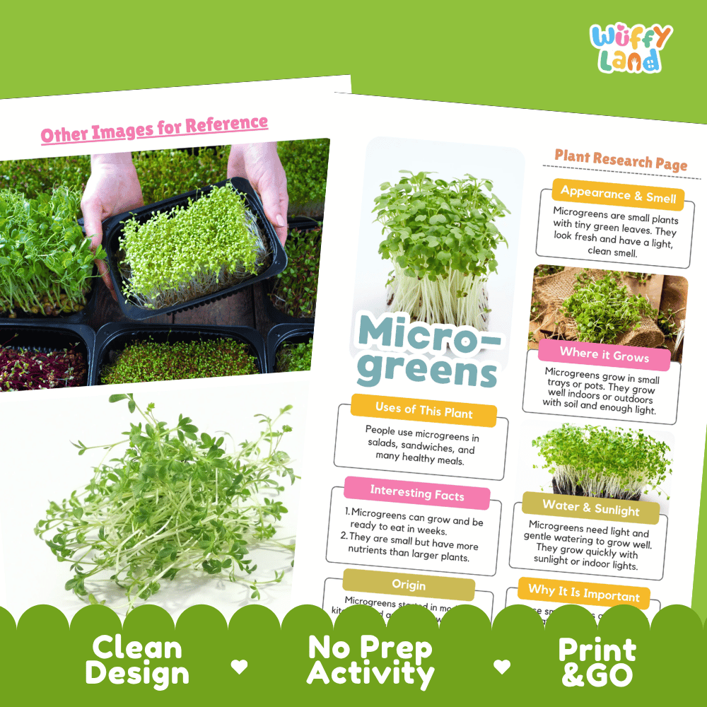 Microgreens Plant Research Page Worksheets and Fact Sheet Activity