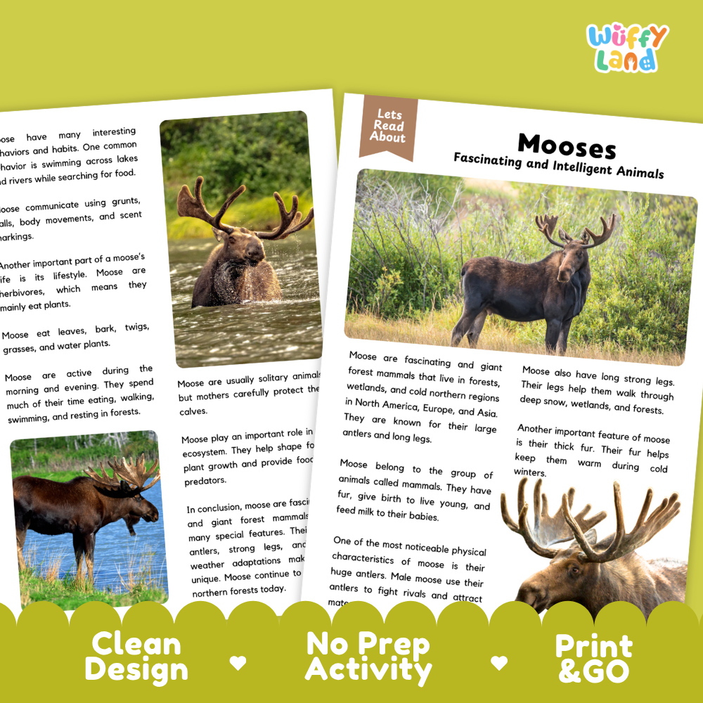 A product listing graphic for a children's educational activity sheet about moose. The design shows a large central printed page with two inset photos of moose heads and a few moose illustrations, surrounded by three pale green rounded corners with printed text reading 'Let's Read About', 'Moosees Fascinating and Intelligent Animals', and feature badges saying 'Clean Design', 'No Prep Activity', and 'Print & GO'.