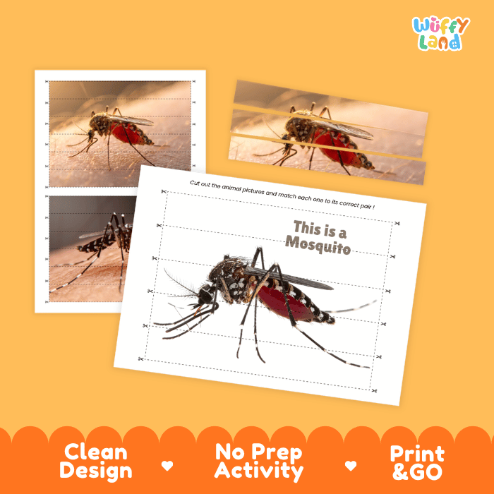 Mosquito Cut and Match Activity Printables Worksheets