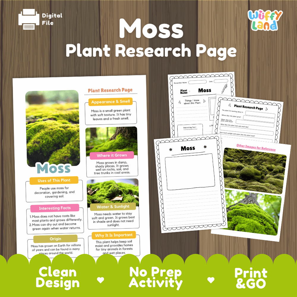 Student plant research page writing worksheets with real close up green moss carpets on tree bark and forest photos, lined note-taking prompts, and drawing frames