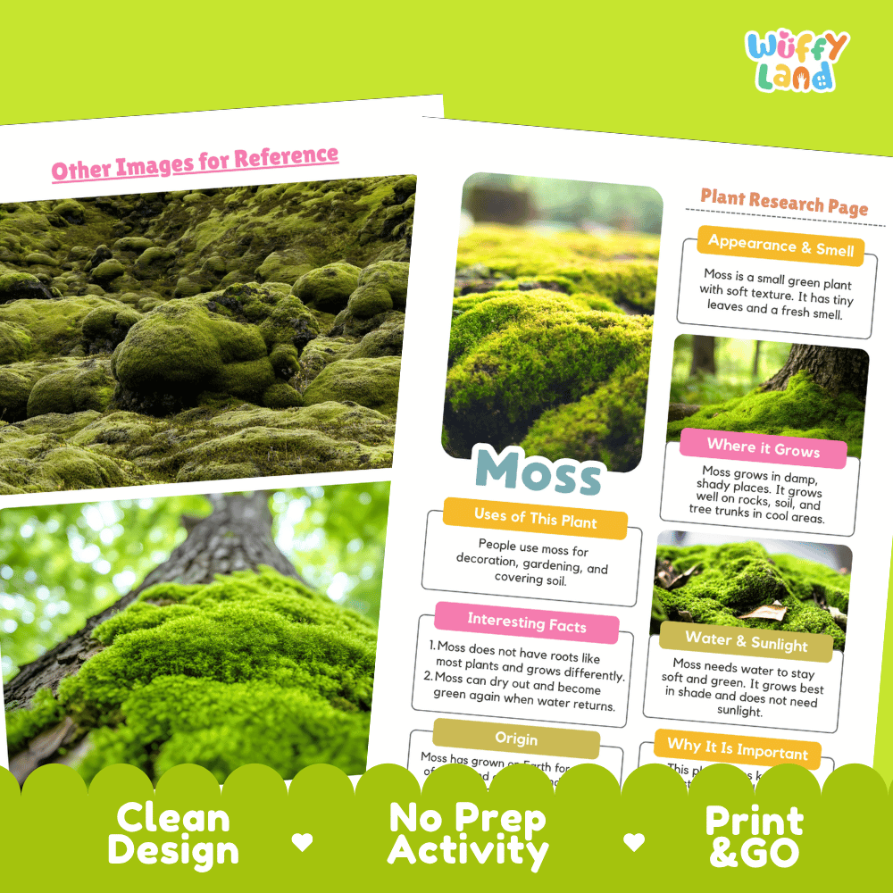 Moss Plant Research Page Worksheets and Fact Sheet Activity