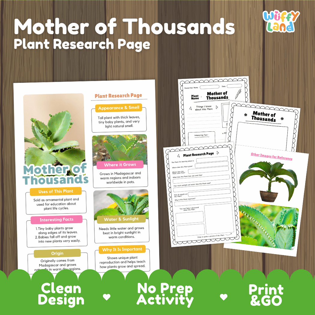 Student plant research page writing worksheets with real close up photos of succulent leaves lined with tiny baby plantlets, lined note-taking prompts, and drawing frames