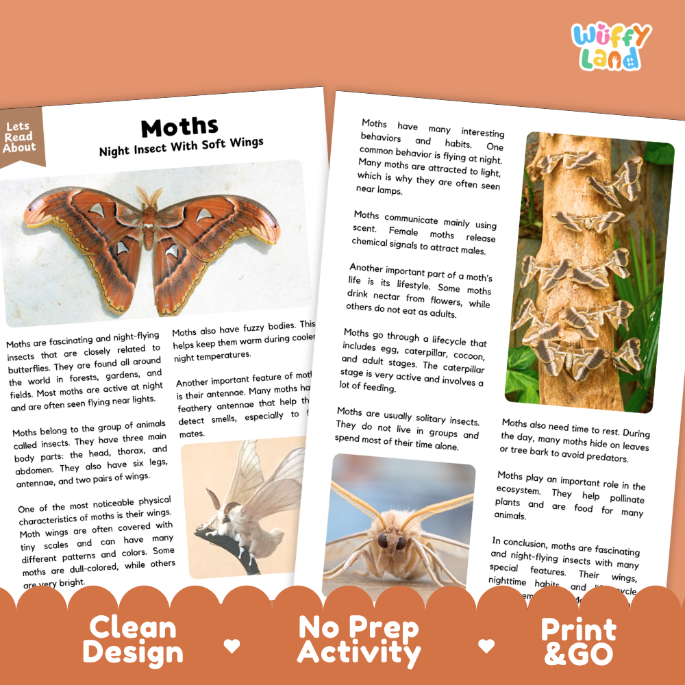 Moths Reading Passage and Comprehension Questions Worksheets