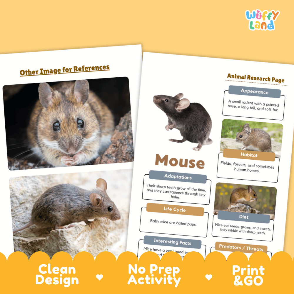 Mouse Animal Research Page Worksheets and Fact Sheet Activity