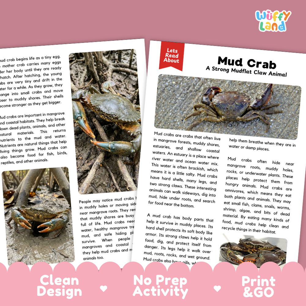Mud Crab Reading Passage and Questions Worksheets with Answer Key