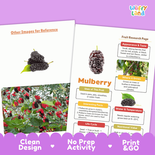 Mulberry Fruit Research Activity Worksheet Science Healthy Eating Plant Life Cycle
