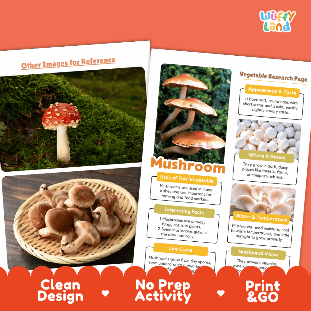 Mushroom Vegetable Research Page Worksheets and Fact Sheet
