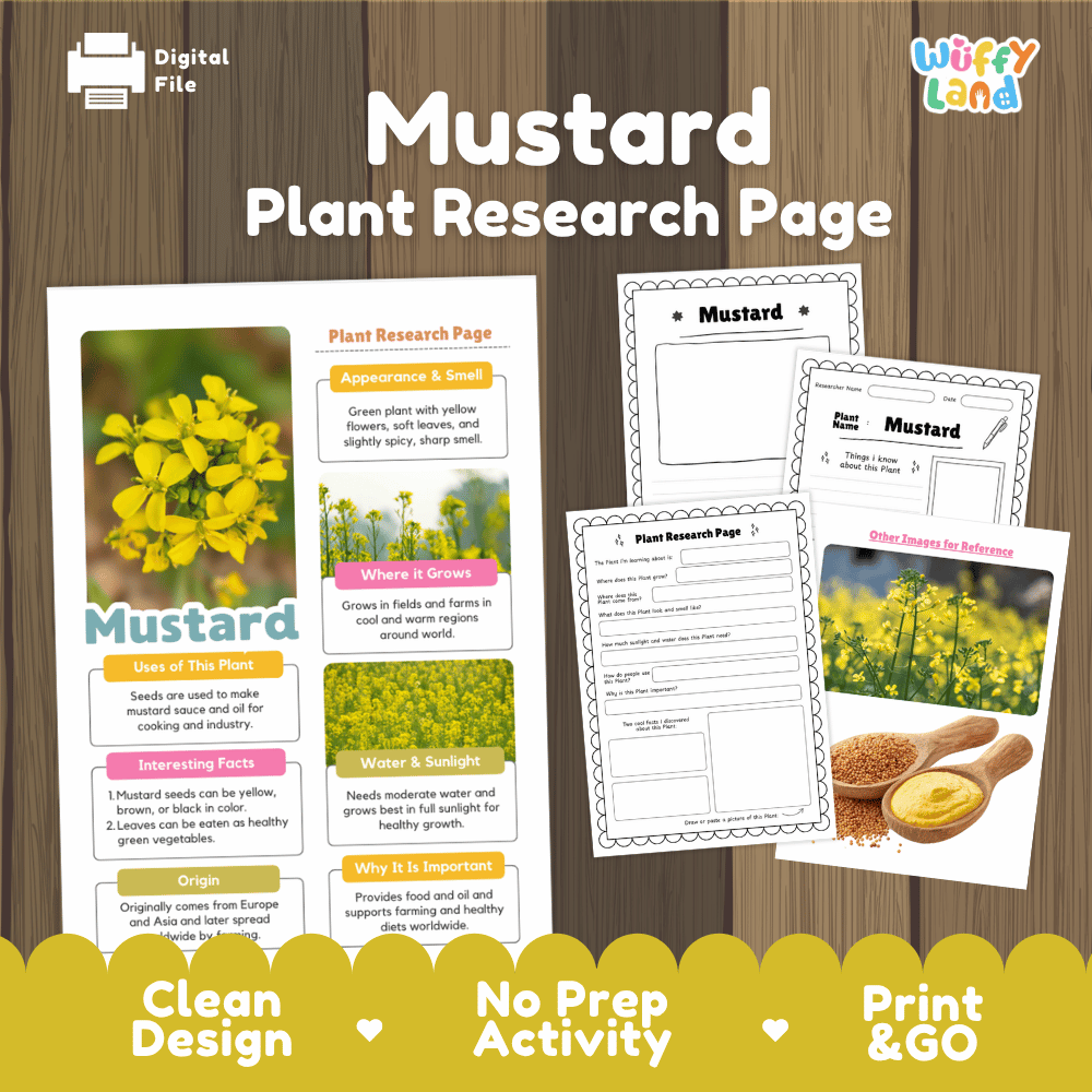 Student plant research page writing worksheets with real blooming yellow mustard flowers and open agricultural field photos, lined note-taking prompts, and drawing frames