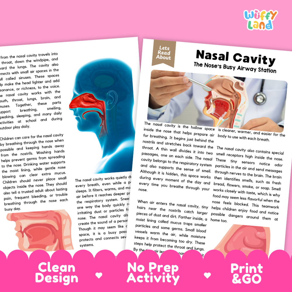 Teacher answer key page showing complete question solutions for Nasal Cavity human body reading comprehension practice