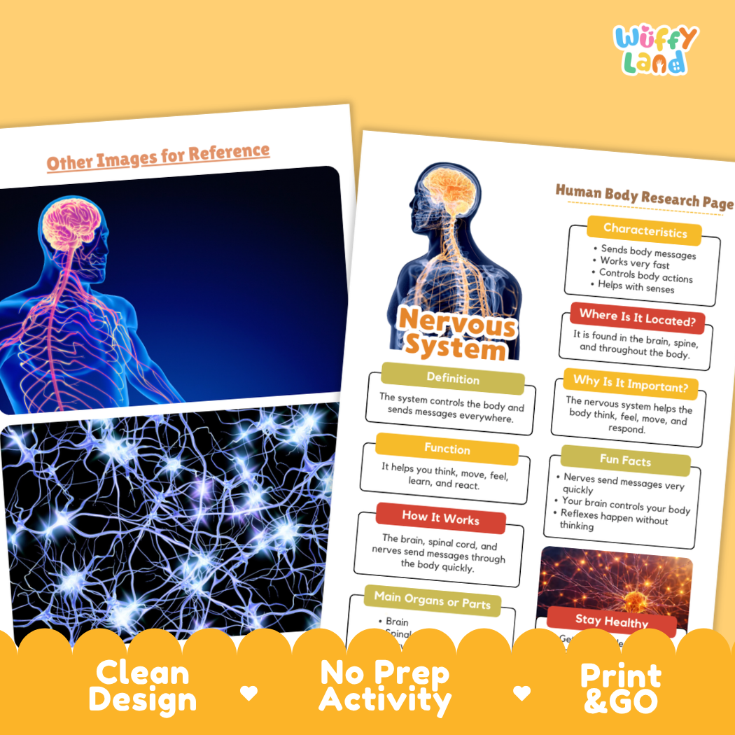 Nervous System Human Body Research Page and Worksheets