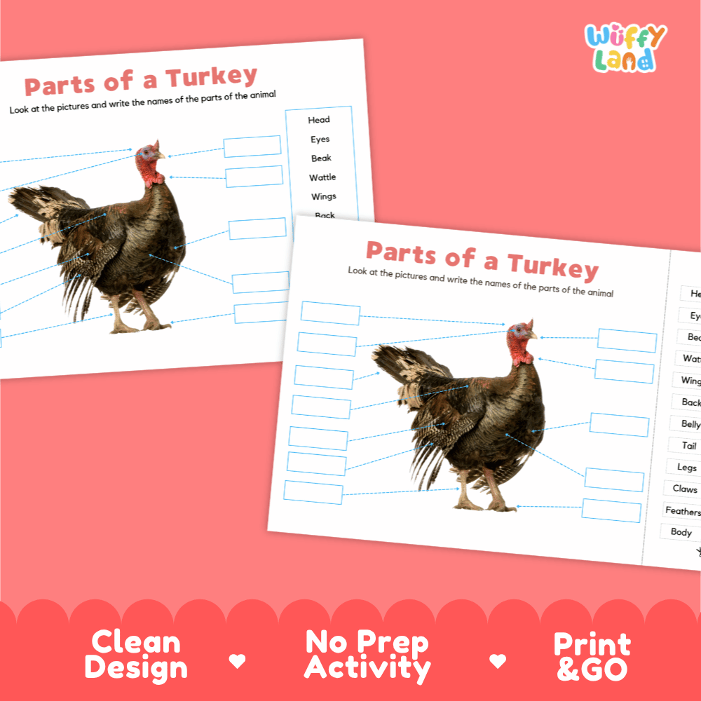 Printable turkey science activity worksheets highlighting clean design, no prep activity, and print and go badges