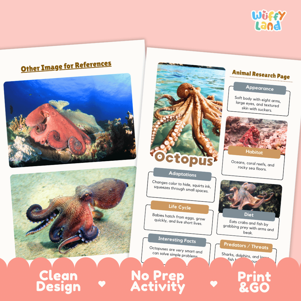 Octopus Animal Research Page Worksheets