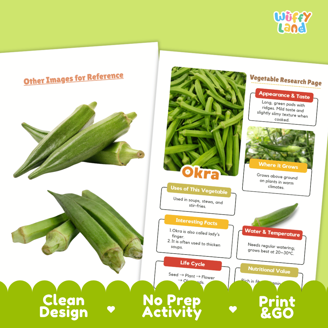 Okra Vegetable Research Worksheets and Informational Fact Sheets
