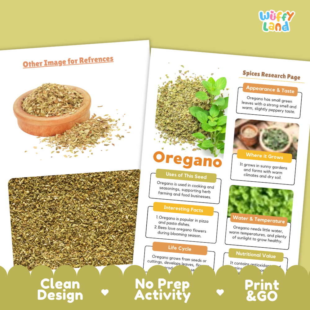 Two printed informational cards about oregano are shown on a pale green background with decorative text banners at the bottom. The cards feature a clean layout with a photo of oregano in a bowl, a large oregano herb spread, and sections titled Appearance & Taste, Uses of This Seed, Where it Grows, Interesting Facts, Water & Temperature, and Nutritional Value.
