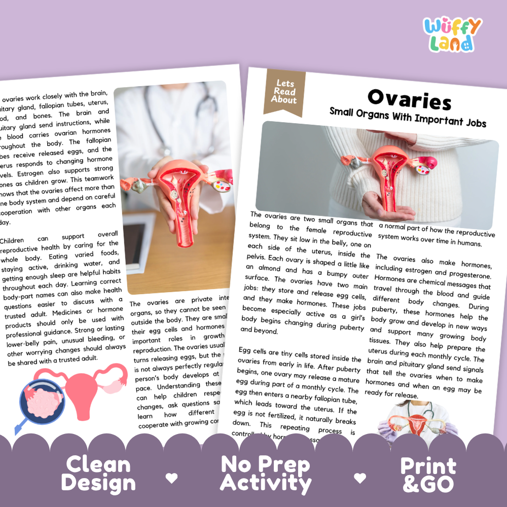 Teacher answer key page showing complete question solutions for Ovaries human body reading comprehension practice