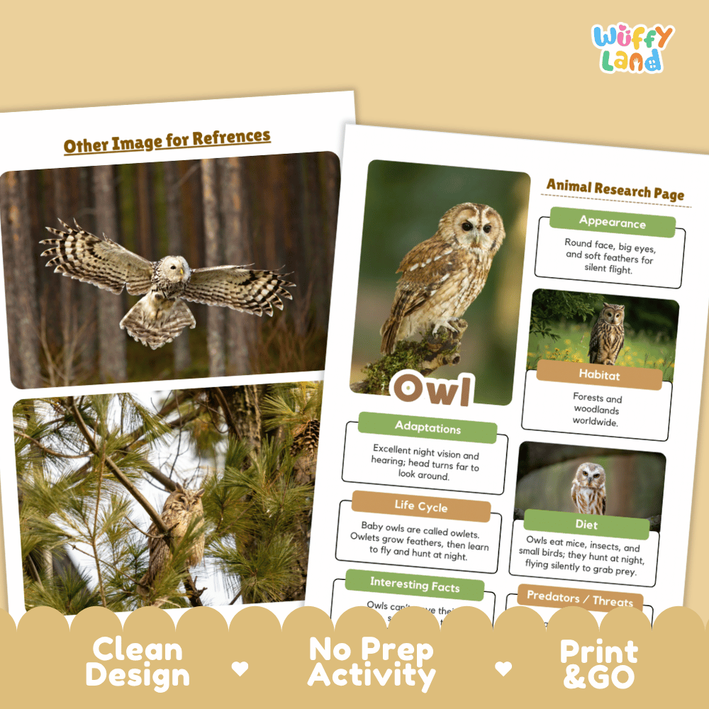 Two printed educational poster pages about owls are shown on a beige background. The left page has two owl photos with the heading 'Other Image for References,' and the right page is an 'Animal Research Page' titled 'Owl' with text about appearance, habitat, adaptations, life cycle, diet, and predators.