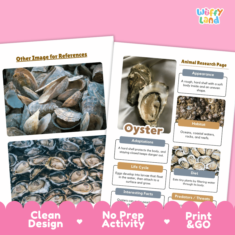 Oyster Animal Research Page Worksheets and Fact Sheet Activity