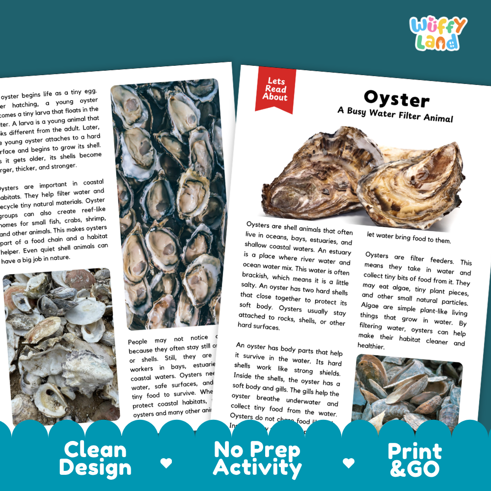 Oyster Reading Passage and Questions Worksheets with Answer Key
