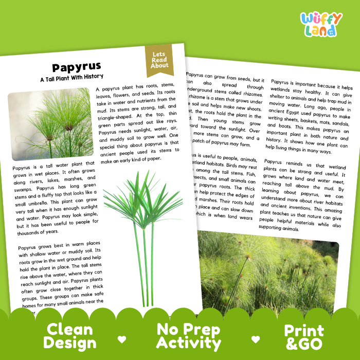 Papyrus Plant Reading Passages and Comprehension Questions Worksheets