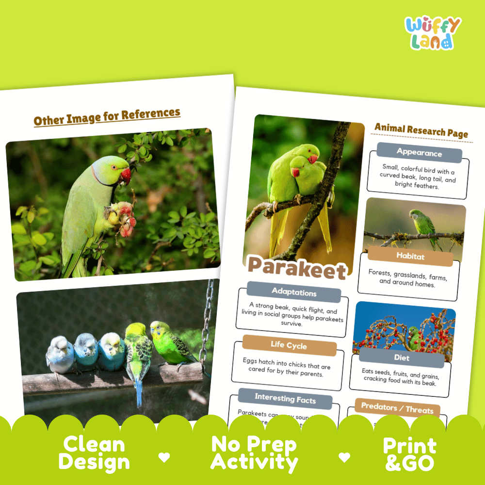 Parakeet Animal Research Page Worksheets and Fact Sheet Activity