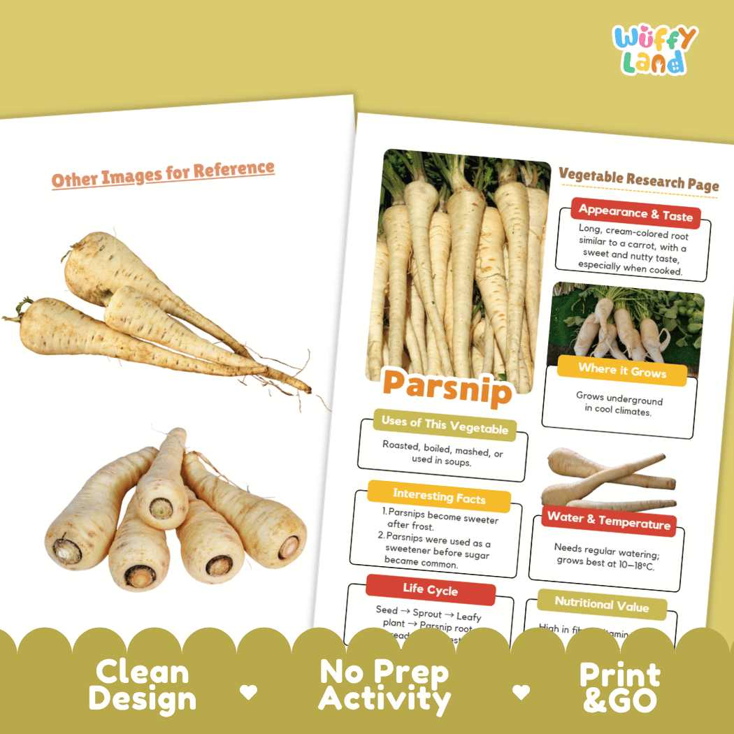 Parsnip Vegetable Research Worksheets and Informational Fact Sheets