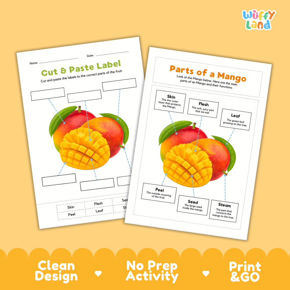 Clean science reference poster displaying a labeled realistic mango showing fruit parts and functions from stem and leaf to sweet flesh and seed
