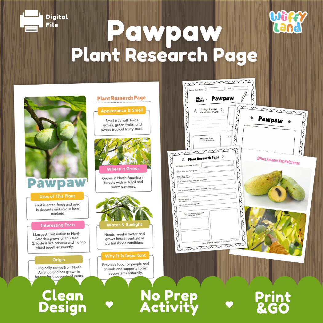 Student plant research page writing worksheets with real photos of ripe pawpaw fruit cut open and leafy fruit clusters, lined note-taking prompts, and drawing frames