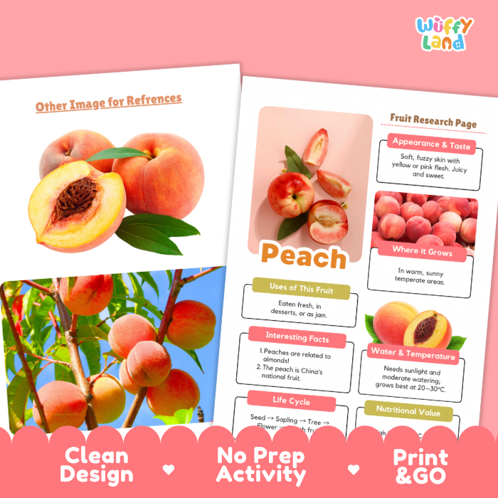 Peach Fruit Research Page Worksheets and Fact Sheet