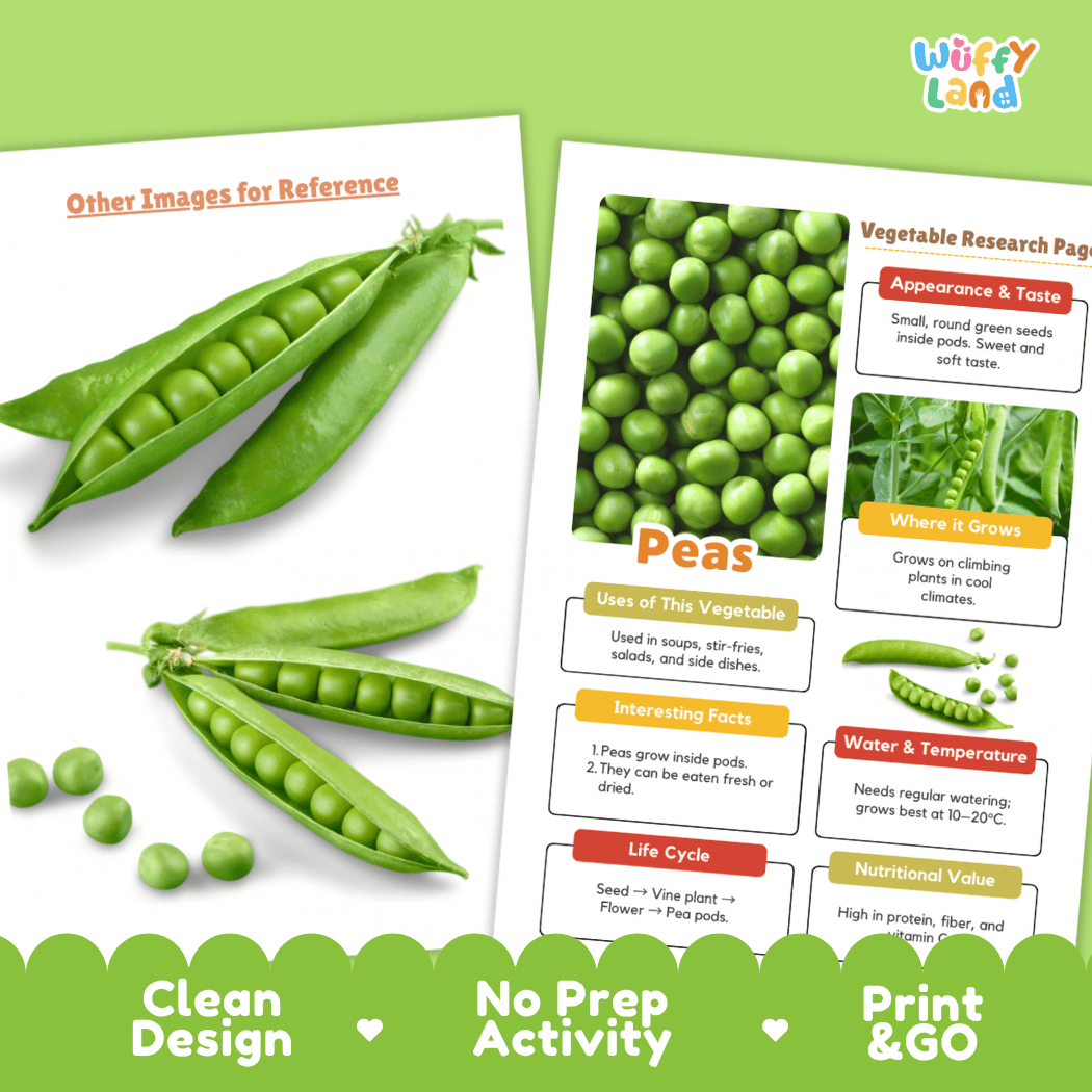 Peas Vegetable Research Page Science Worksheets and Fact Sheet