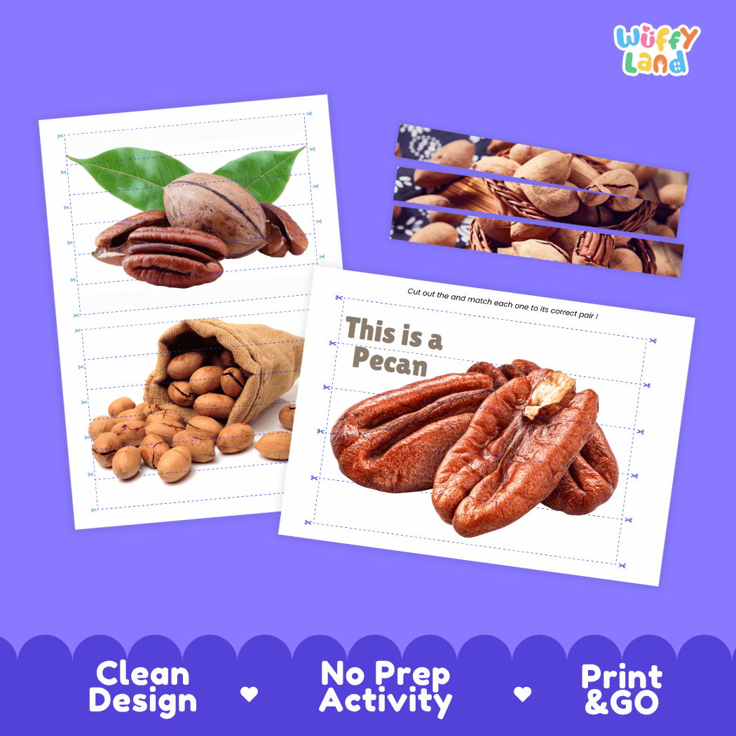 Pecan Cut and Match Activity Worksheets | Nuts and Dried Fruits Puzzle Printables