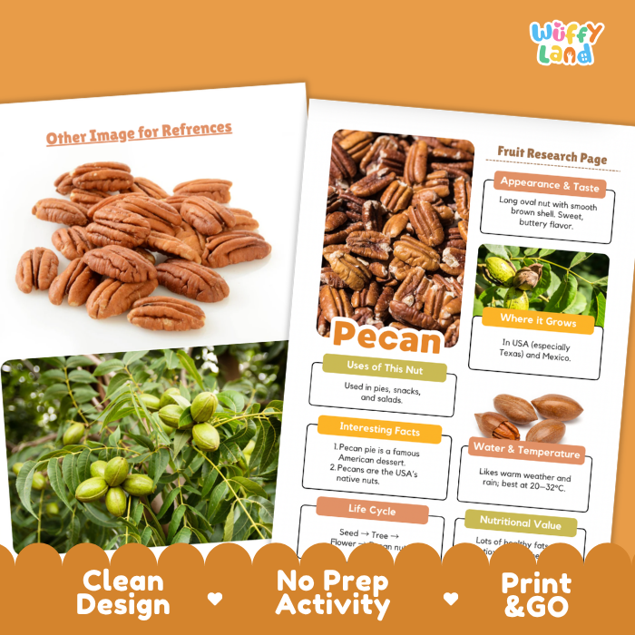 Two printed educational poster sheets about pecans are shown on an orange background. The left sheet has a photo of pecan halves, and the right sheet has a labeled fruit research page with photos of pecan greeners and pecans.