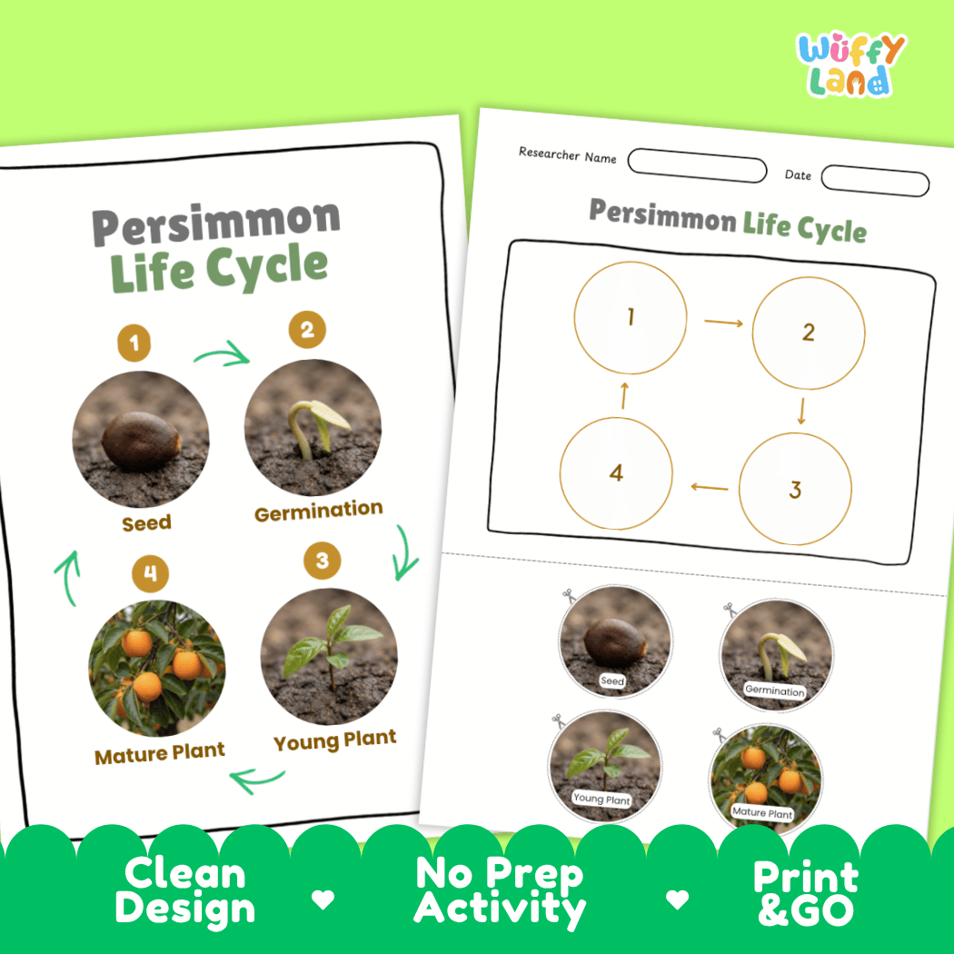 Print and go digital PDF plant science activity featuring clean design layout, researcher name line, and zero prep classroom format