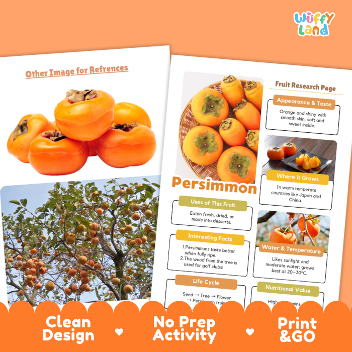 Persimmon Fruit Research Page Worksheets and Fact Sheet
