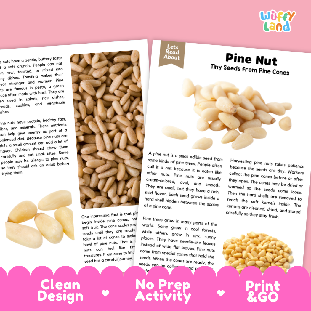 Pine Nut Reading Passage and Comprehension Questions with Answer Key Worksheets