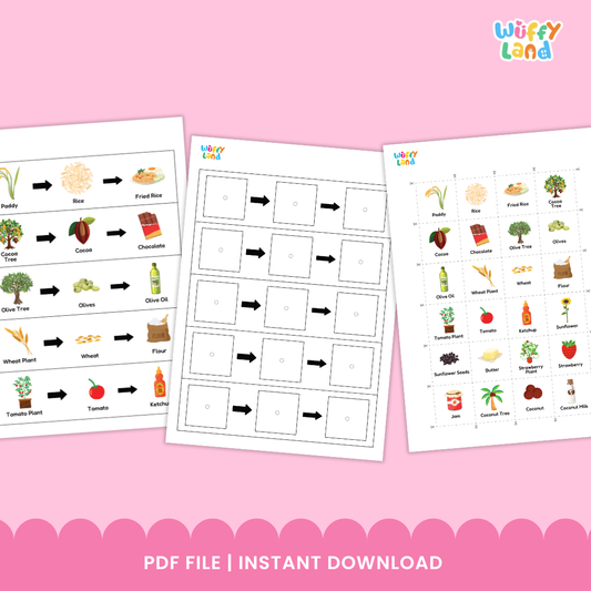 A set of plant-to-product sequencing cards showing how different foods are made. Each strip displays a plant followed by arrows pointing to its product: coconut tree to coconut to coconut milk; corn plant to corn to popcorn; strawberry plant to strawberry to jam; tomato plant to tomato to ketchup; cocoa tree to cocoa to chocolate. Small matching picture cards of wheat, jam, strawberry plant, strawberry, and paddy are also included