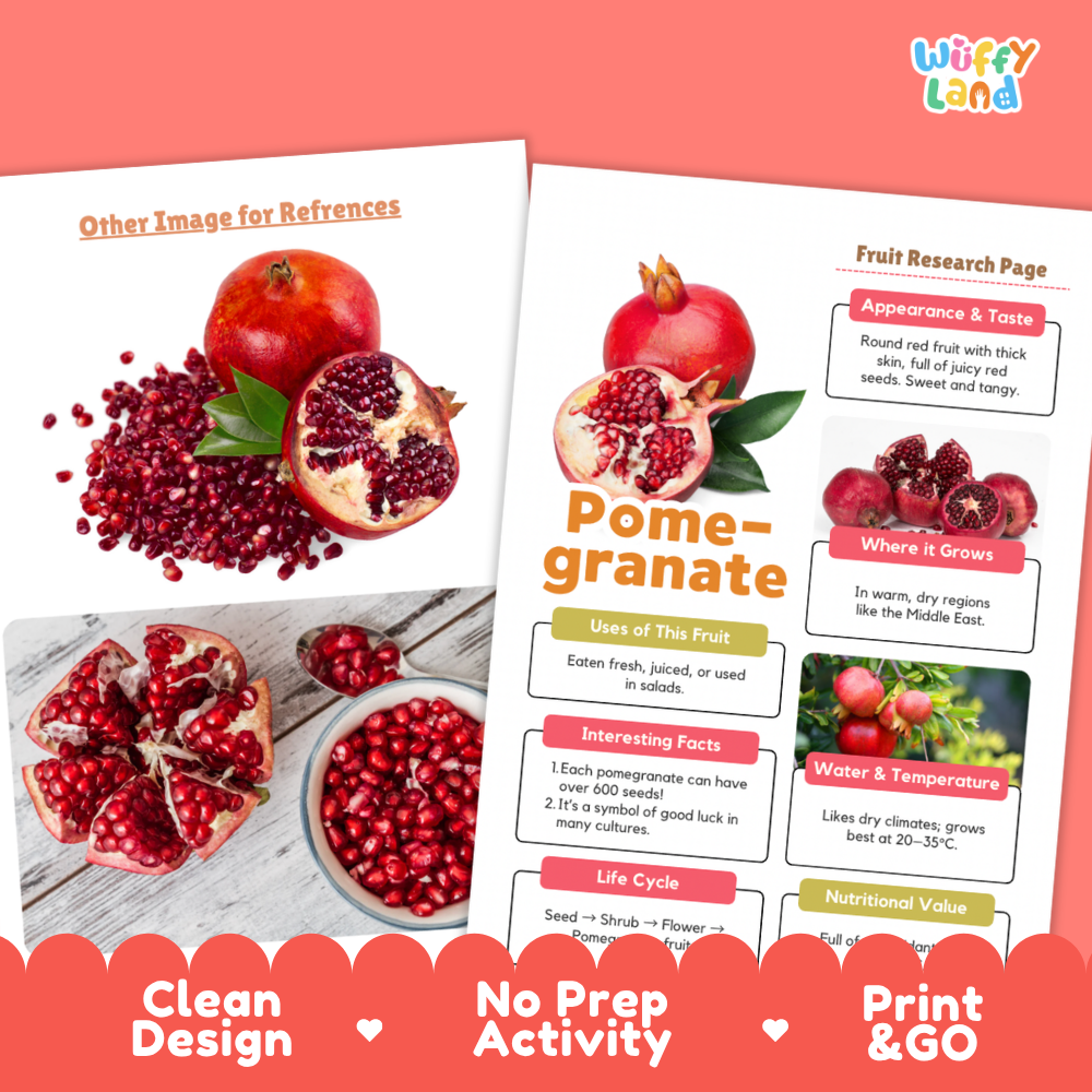 Pomegranate Fruit Research Page Worksheets and Fact Sheet