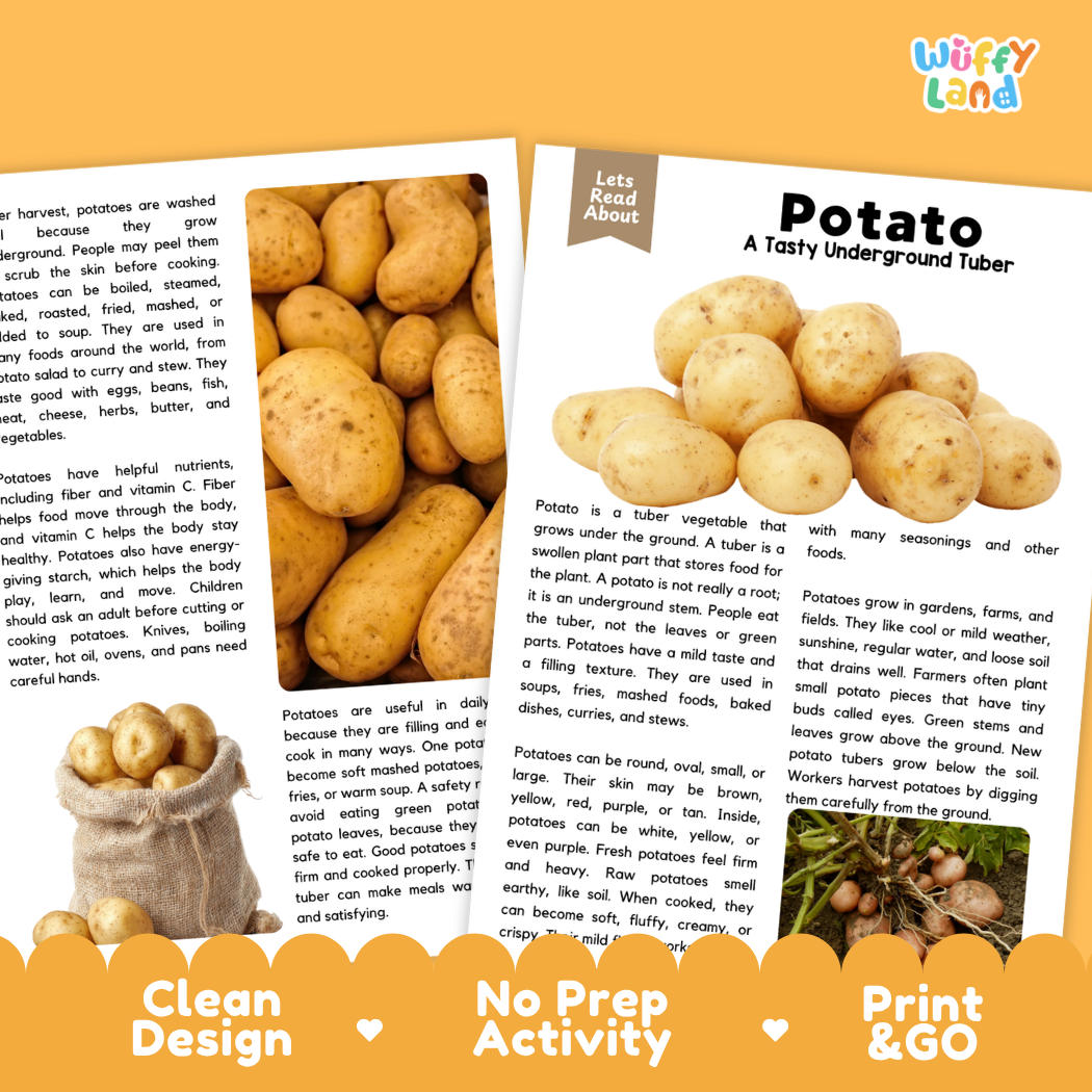 Teacher answer key page showing complete question solutions for potato reading comprehension practice