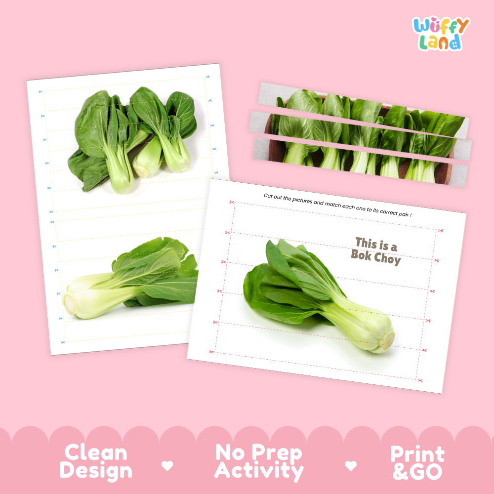 Clean design no prep print and go bok choy cut and match activity printable PDF pack