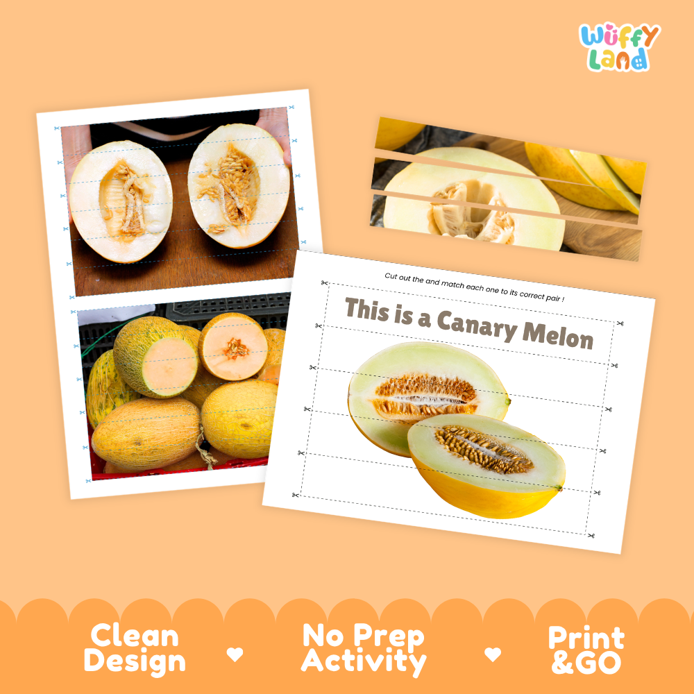 Clean design no prep print and go canary melon cut and match activity printable PDF pack