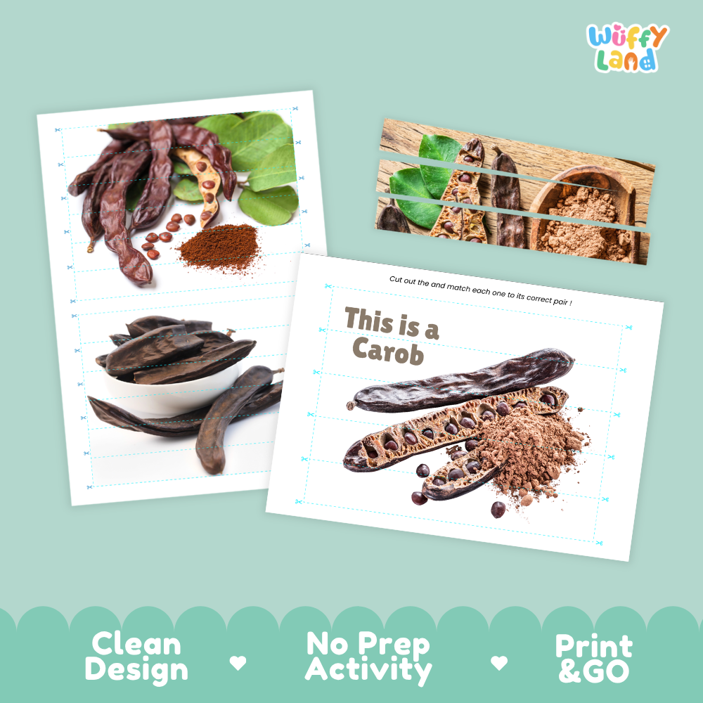 Clean design no prep print and go carob cut and match activity printable PDF pack