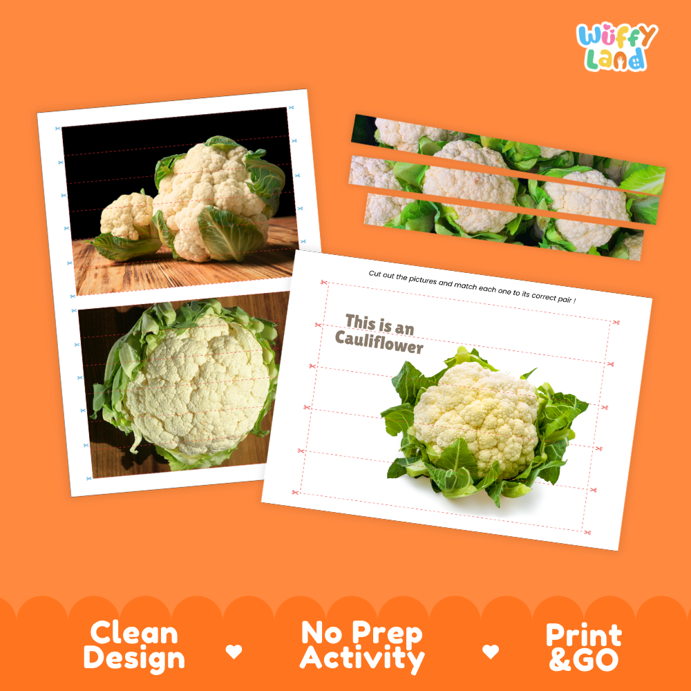 Clean design no prep print and go cauliflower cut and match activity printable PDF pack