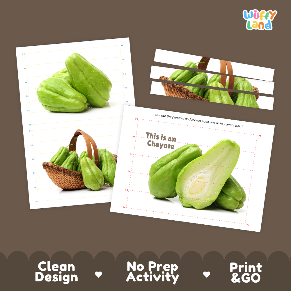 Clean design no prep print and go chayote cut and match activity printable PDF pack