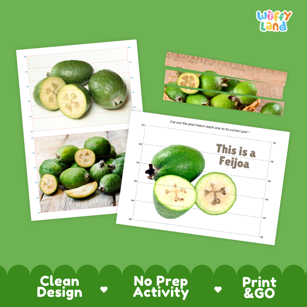 Clean design no prep print and go feijoa cut and match activity printable PDF pack