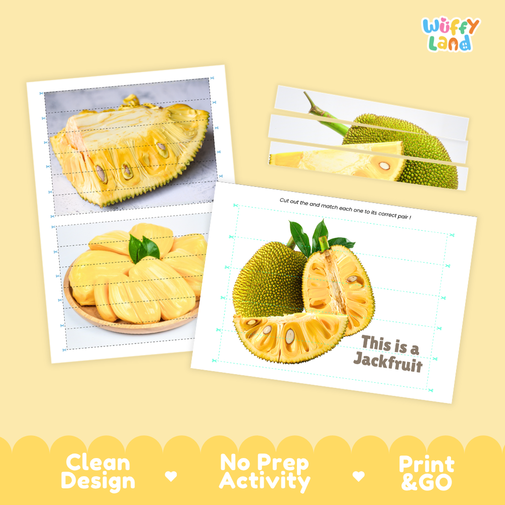 Clean design no prep print and go jackfruit cut and match activity printable PDF pack