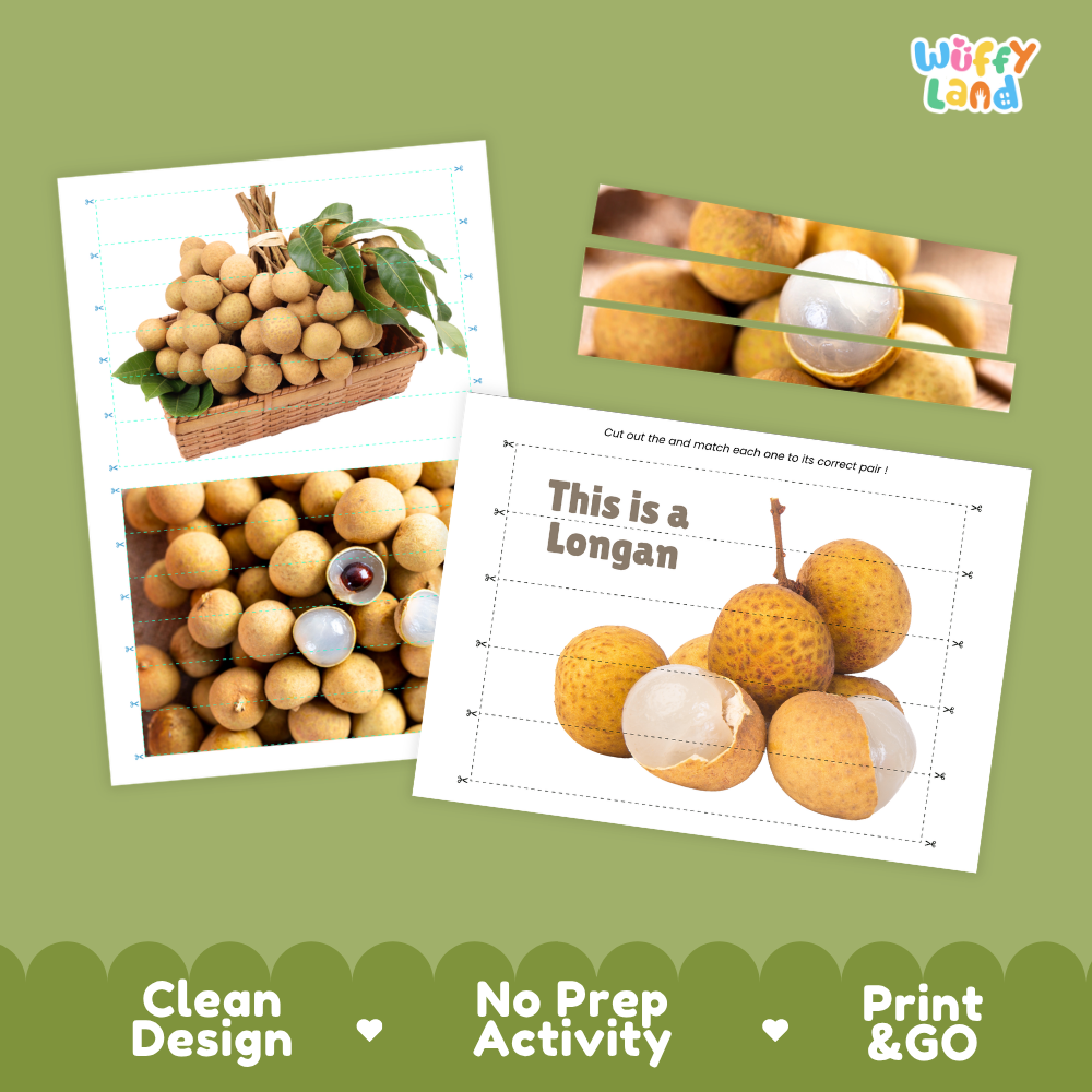 Clean design no prep print and go longan cut and match activity printable PDF pack