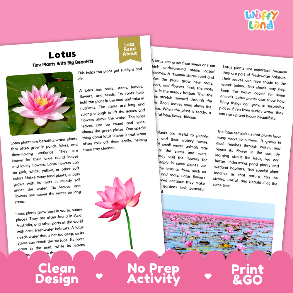 Clean design no prep print and go lotus plant reading passages printable PDF pack