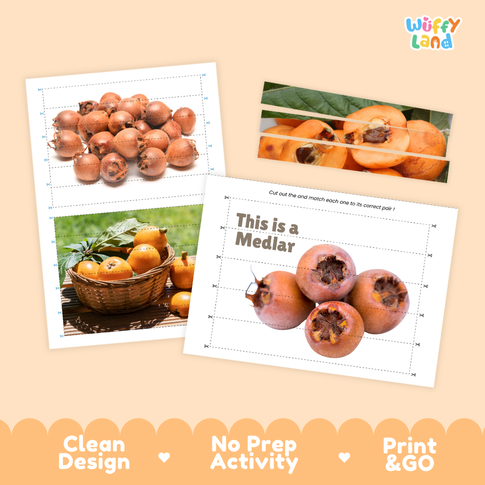 Clean design no prep print and go medlar cut and match activity printable PDF pack