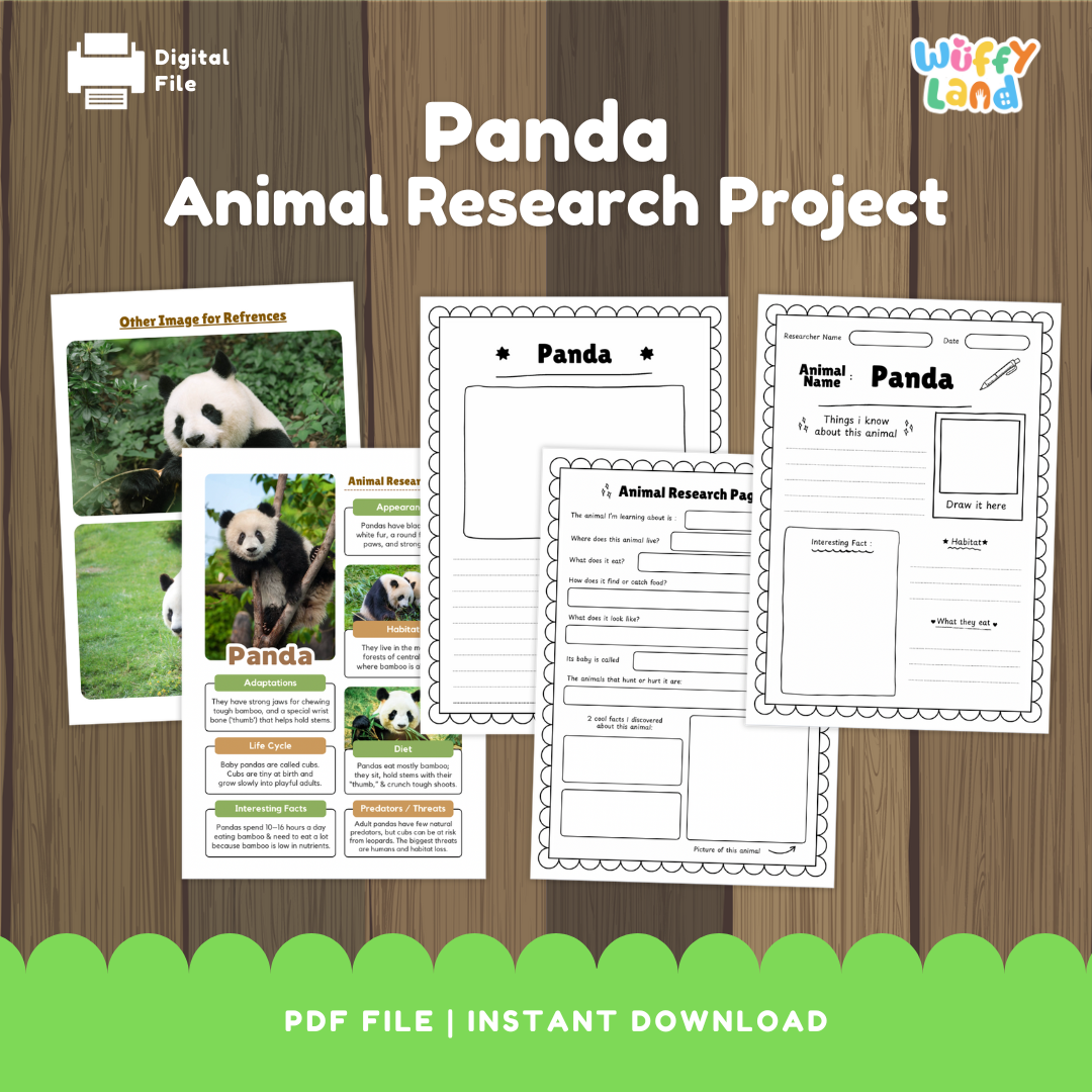 Clean design no prep print and go panda bear mammal animal life cycle study printable PDF pack for elementary science